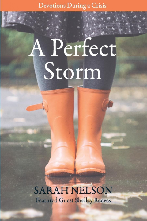 Book Perfect Storm Sarah Nelson