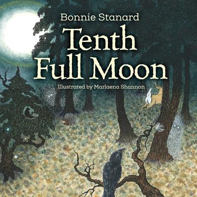 Boek Tenth Full Moon Marlaena Shannon