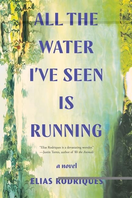 Knjiga All the Water I've Seen Is Running - A Novel Rodriques