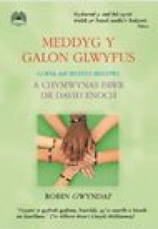 Kniha Meddyg y Galon Glwyfus - Gofal am Iechyd Meddwl a Chymwynas Fawr Dr David Enoch Robin Gwyndaf