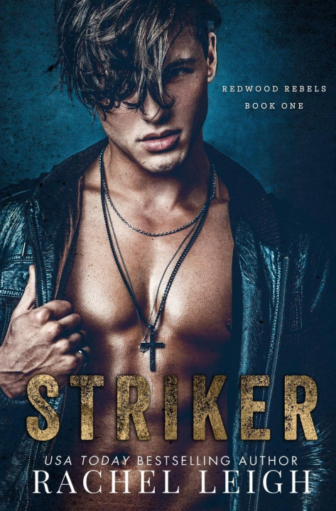 Книга Striker 