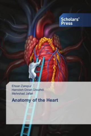 Kniha Anatomy of the Heart Hamideh Dinari Ghozhdi