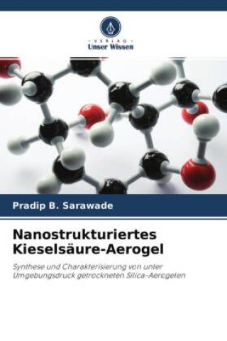 Книга Nanostrukturiertes Kieselsaure-Aerogel 