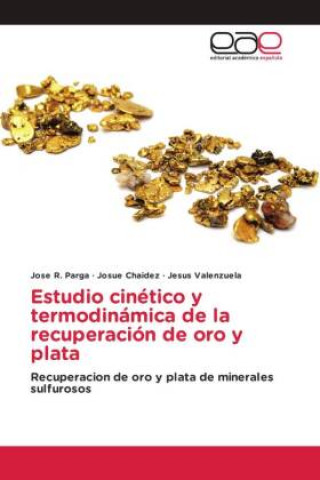 Книга Estudio cinetico y termodinamica de la recuperacion de oro y plata Josue Chaidez
