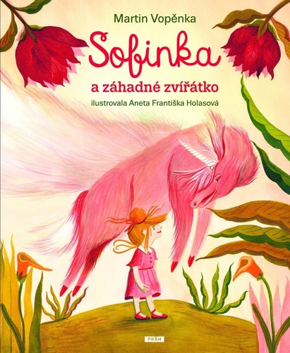 Kniha Sofinka a záhadné zvířátko Martin Vopěnka
