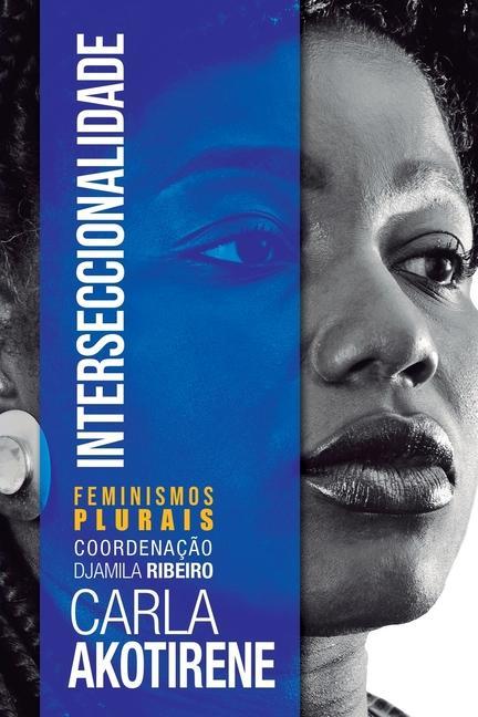 Kniha Interseccionalidade 