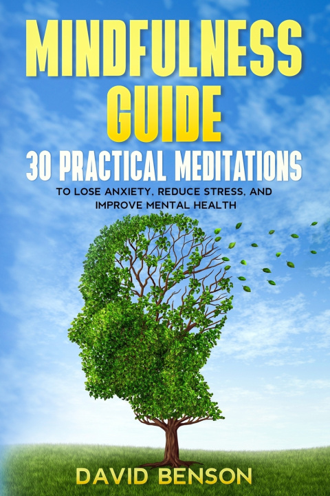 Knjiga Mindfulness Guide David Benson