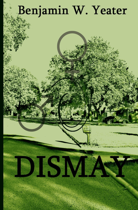 Boek Dismay Revisited Benjamin Yeater