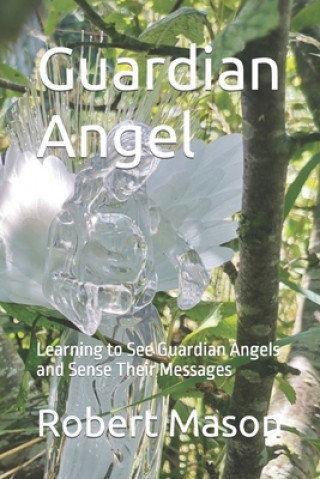 Kniha Guardian Angel Robert Mason