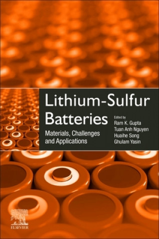 Boek Lithium-Sulfur Batteries Ram Gupta