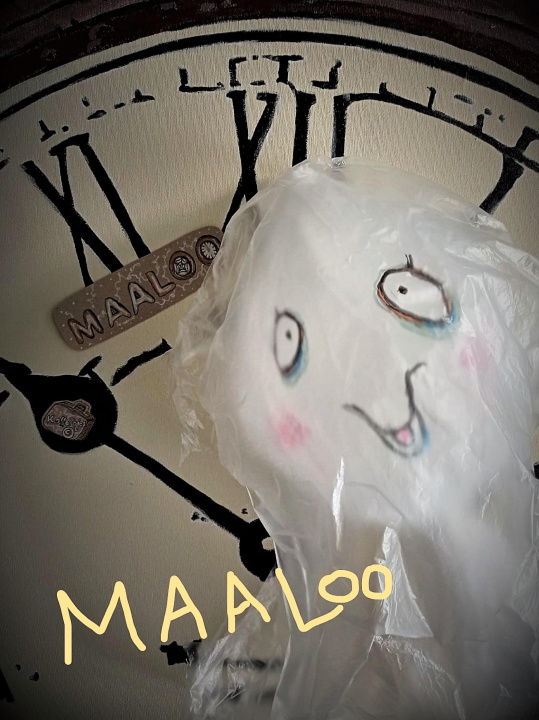 Knjiga Maaloo Koffertjes Kinderbuchverlag