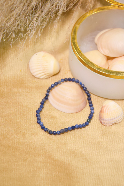 Knjiga Bracelet Sodalite Perles rondes 4 mm 