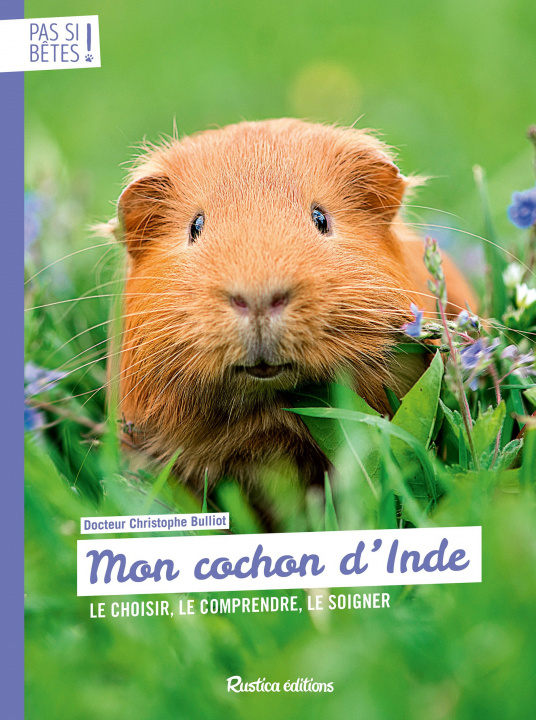 Книга Mon cochon d'Inde 