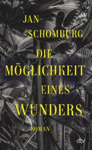 Buch Die Möglichkeit eines Wunders Jan Schomburg