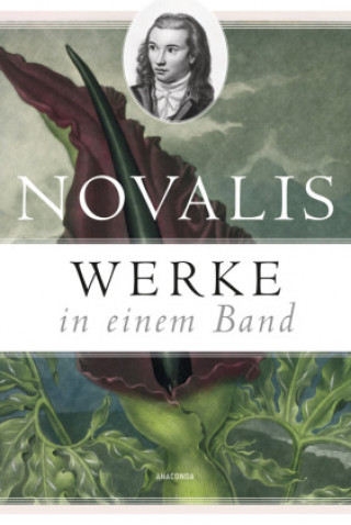 Buch Werke in einem Band Hans-Dietrich Dahnke