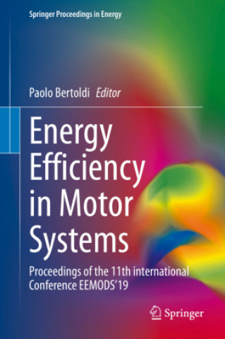 Boek Energy Efficiency in Motor Systems Paolo Bertoldi