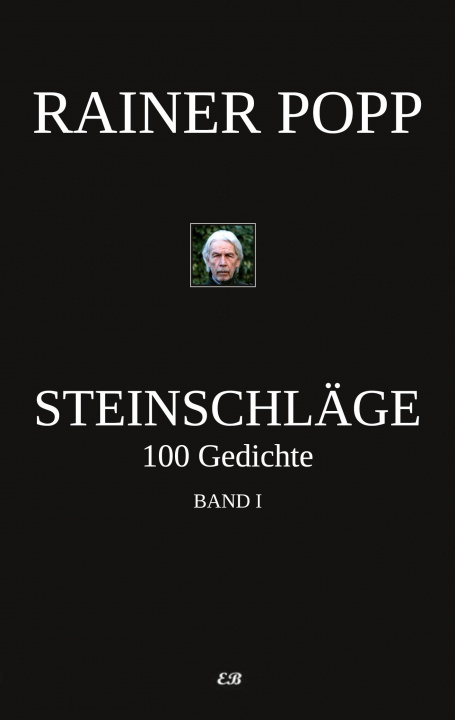 Knjiga Steinschläge 