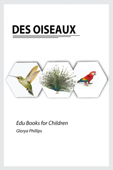Livro Des Oiseaux Glorya Phillips
