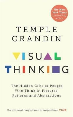 Könyv Visual Thinker 
