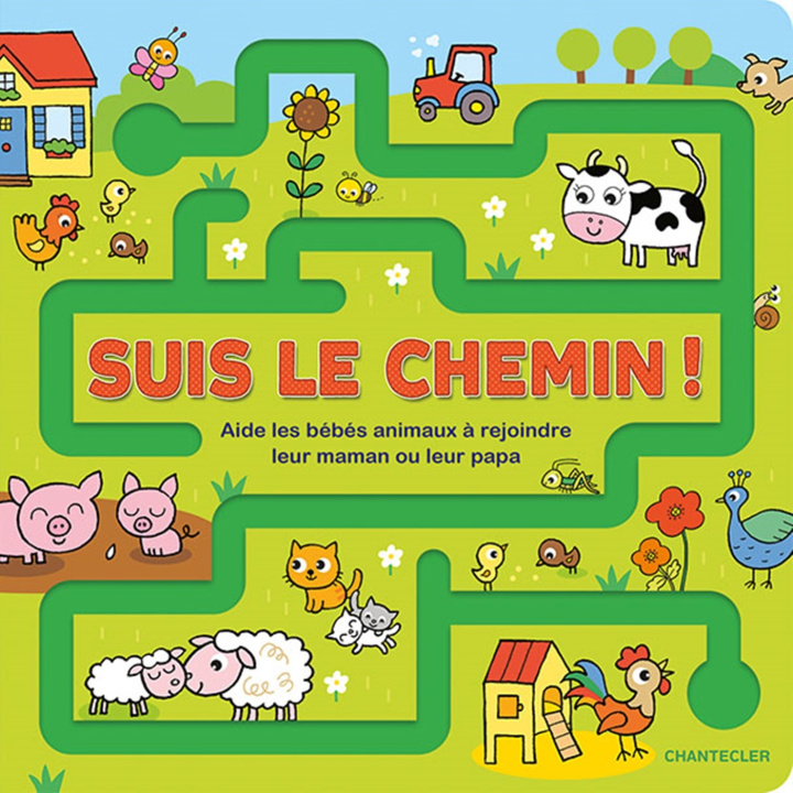 Knjiga Suis le chemin! collegium