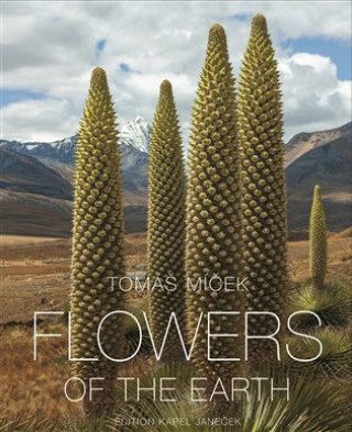 Könyv Flowers of the Earth Tomáš Míček