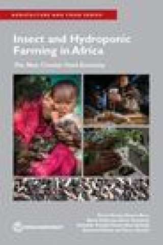 Kniha Insect and Hydroponic Farming in Africa Dorte Verner