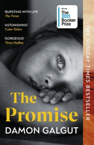 Kniha The Promise 