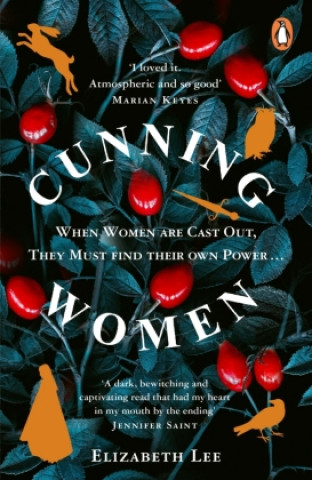 Книга Cunning Women 