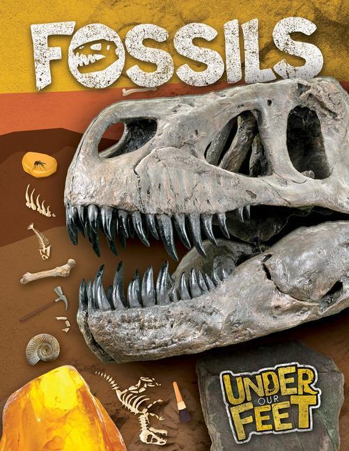 Knjiga Fossils Kirsty Holmes