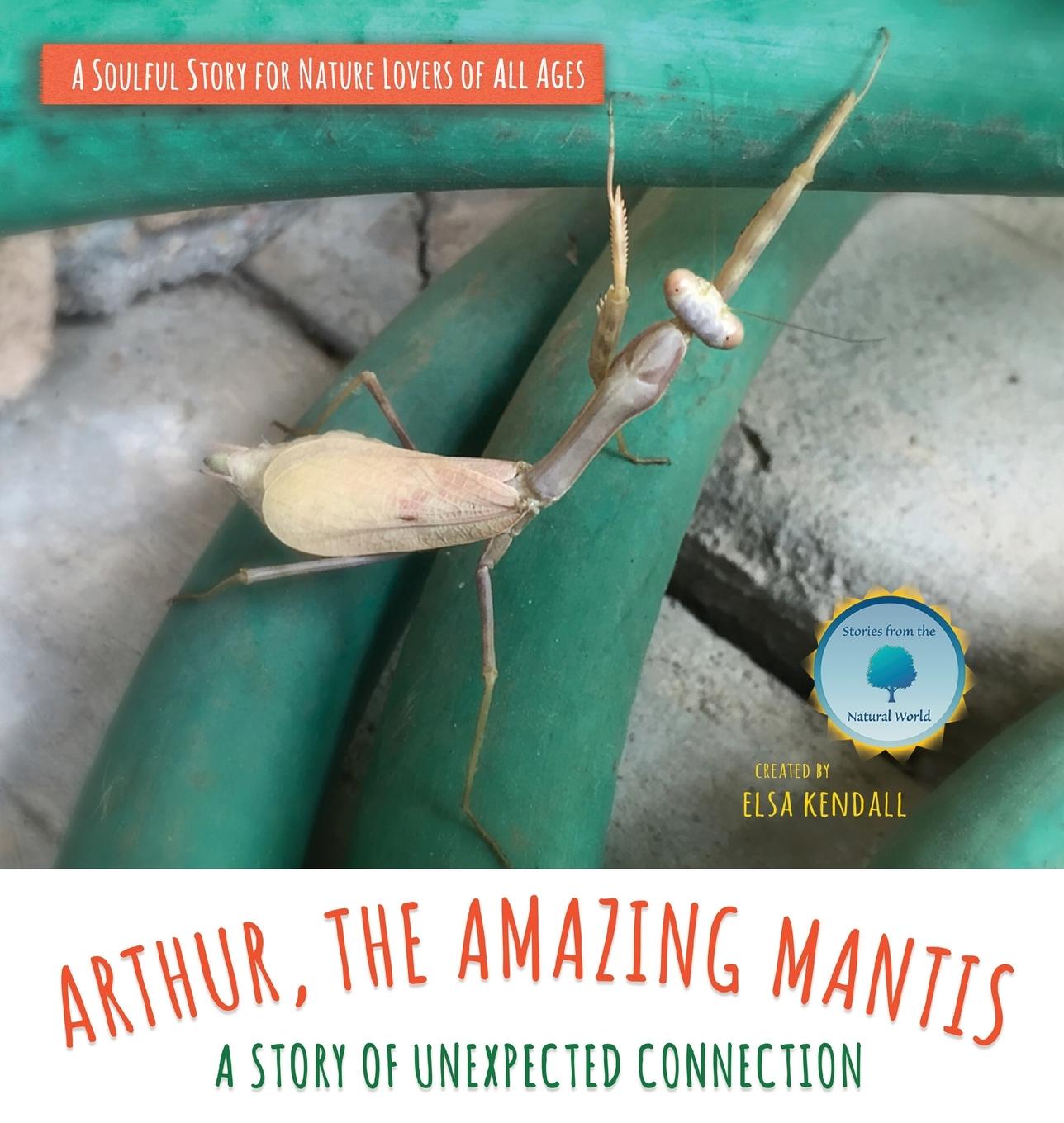 Kniha Arthur, The Amazing Mantis 