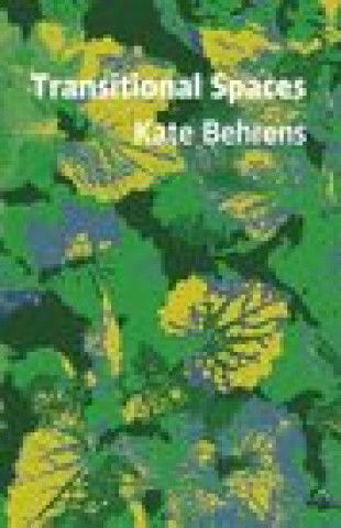 Knjiga Transitional Spaces Kate Behrens
