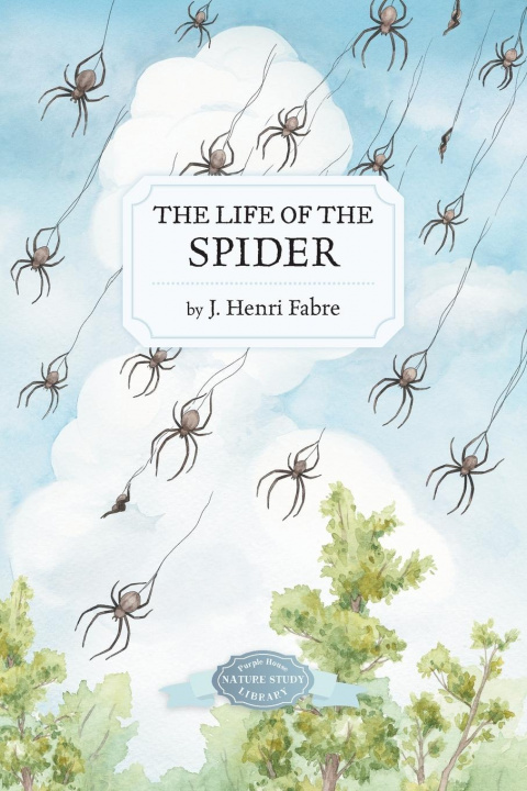 Carte The Life of the Spider 