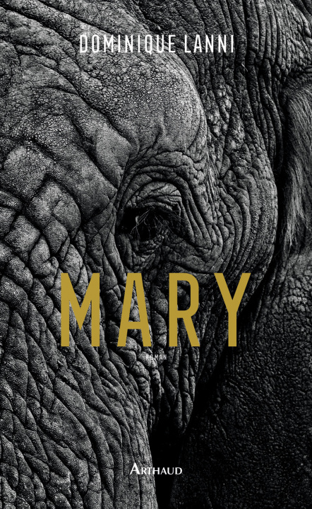 Knjiga Mary DOMINIQUE LANNI