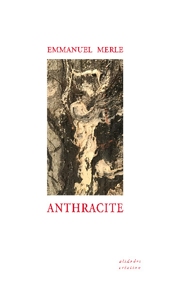 Carte Anthracite MERLE