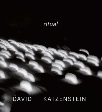 Knjiga David Katzenstein KATZENSTEIN DAVID