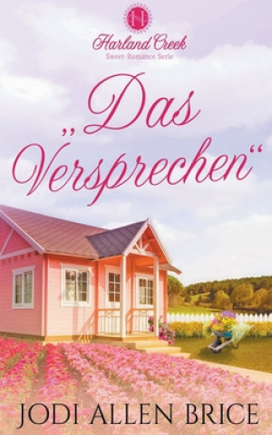 Buch , Das Versprechen Jodi Vaughn