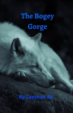 Buch Bogey Gorge Zeeshan Ali