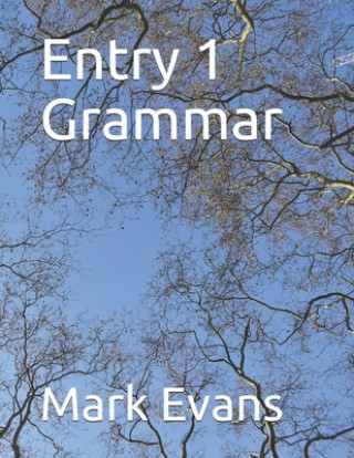 Libro Entry 1 Grammar Mark Evans
