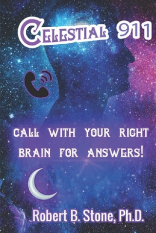 Book Celestial 911 Stone Robert B. Stone