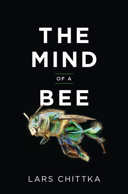 Kniha The Mind of a Bee Lars Chittka