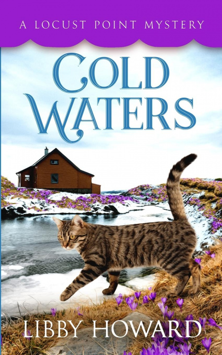 Buch Cold Waters Libby Howard