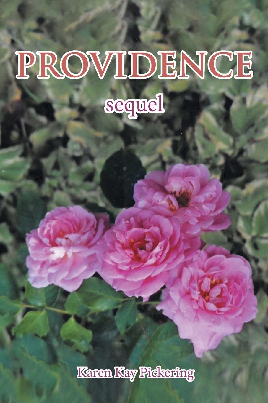 Kniha Providence Karen Kay Pickering