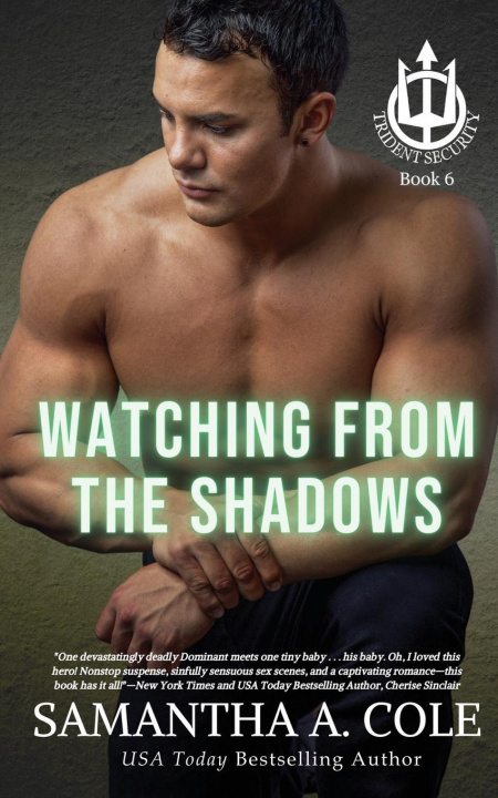 Książka Watching From the Shadows Eve Arroyo
