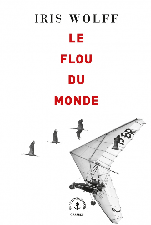 Книга Le flou du monde Iris Wolff