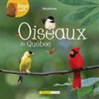 Kniha OISEAUX DU QUEBEC DUFRESNE RHEA