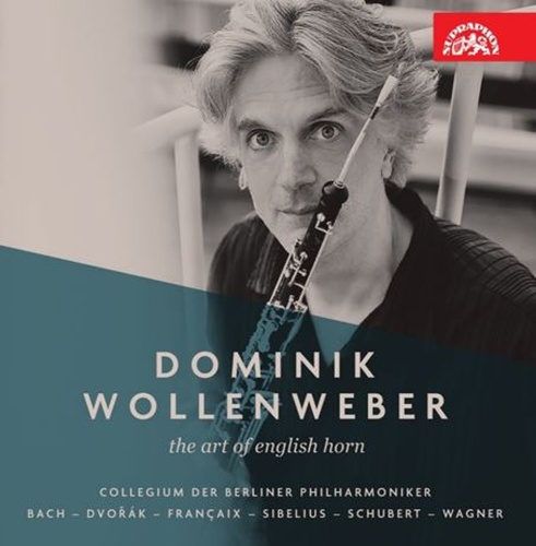 Аудио DOMINIK WOLLENWEBER Dominik Wollenweber