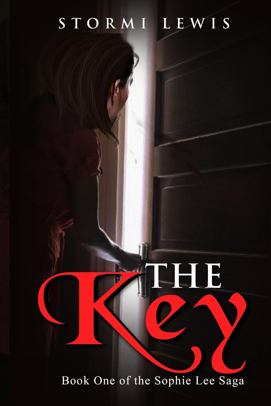 Kniha Key Stormi D. Lewis
