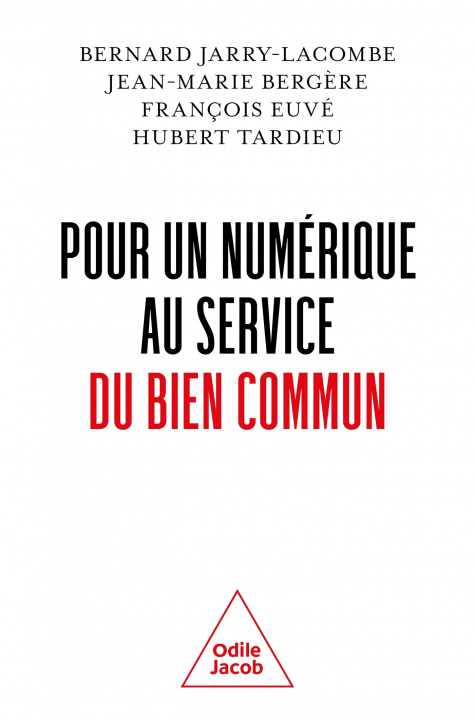 Kniha Pour un numérique au service du bien commun François Euvé