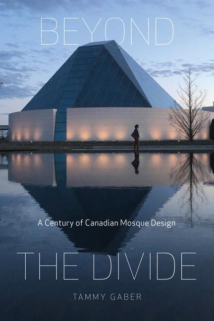 Knjiga Beyond the Divide Tammy Gaber