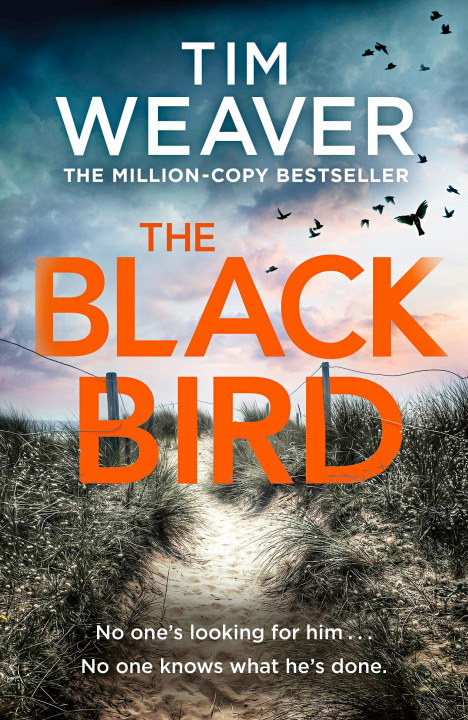 Book Blackbird 